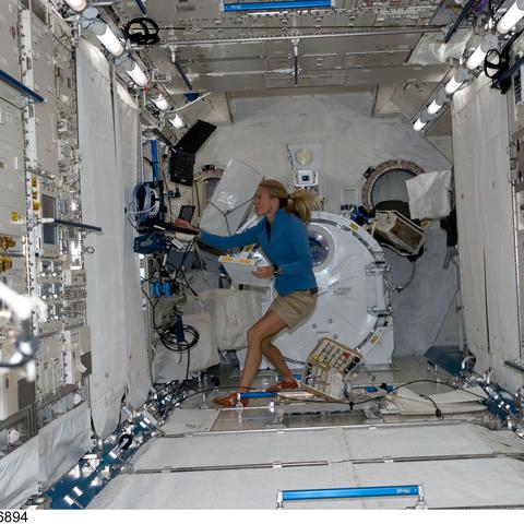 星辰传说官网2026开年福利曝光，隐藏预约码+专属坐骑怎么领？