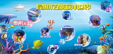 2026彩虹岛新手卡隐藏福利曝光，如何用它3天轻松冲80级？