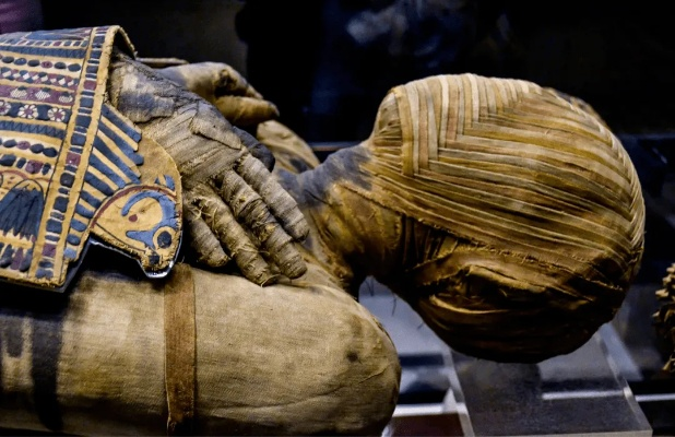 木乃伊士兵真的只是炮灰？3个隐藏机制让你在2026年新副本里1打5！