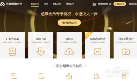 盛大客户端2026新春版，原生适配Win11+怀旧服专属加速，老玩家还不冲？