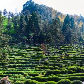 久久传奇真能玩到关服？独家实测3个月的长久服生存攻略来了！