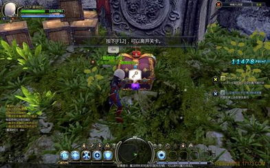 盛大龙之谷2026新版本，绝密龙穴攻略+职业优先级解析，现在知道还不晚！