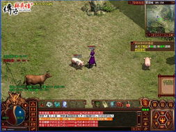 传世群英传网页版2026开服潮来了？骨灰级玩家私藏爆装地图曝光